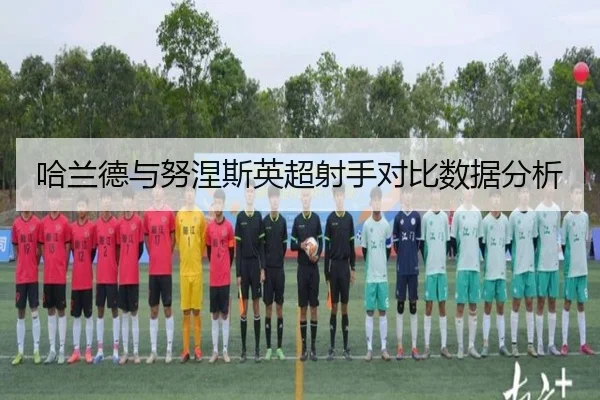 哈兰德与努涅斯英超射手对比数据分析